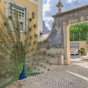 Solar Do Castelo - Heritage Collection - Alfama Hotel Lisboa